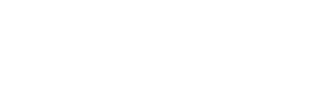 Logo SARES